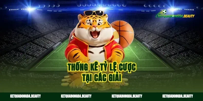 Thống kê tỷ lệ cược tại các giải