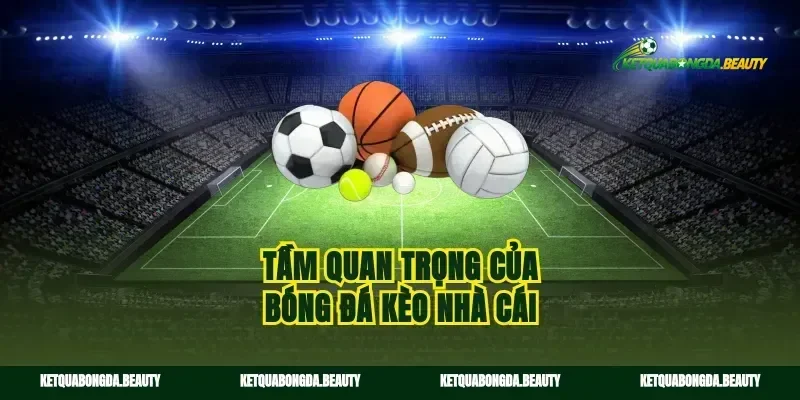 Tầm quan trọng của bóng đá kèo nhà cái