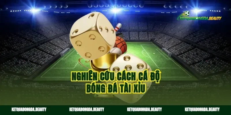 Nghiên cứu cách cá độ bóng đá tài xỉu