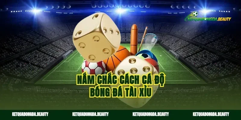 Nắm chắc cách cá độ bóng đá tài xỉu