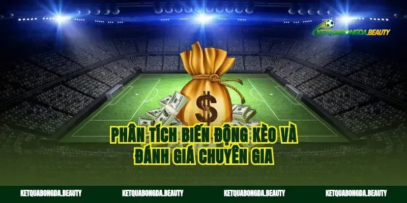 Phân tích biến động kèo và đánh giá chuyên gia