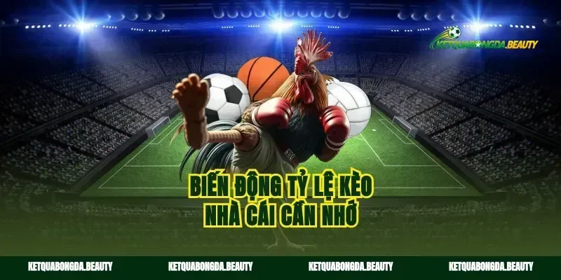 Biến động tỷ lệ kèo nhà cái cần nhớ